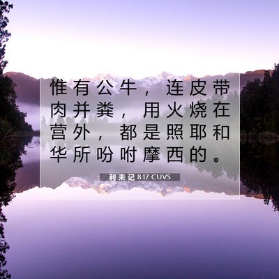 Picture 07 - 利 未 记 8:17 CUVS - 惟 有 公 牛 ， 连 皮 带 肉 并 粪 ， - Bible Verse Picture