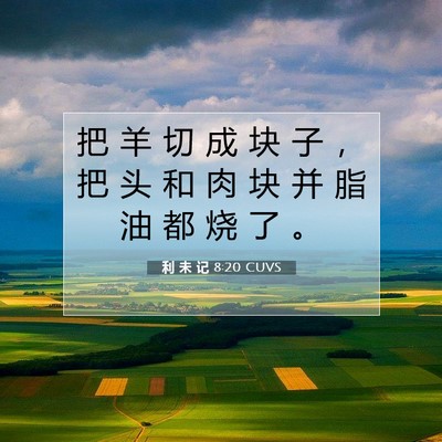 Picture 07 - 利 未 记 8:20 CUVS - 把 羊 切 成 块 子 ， 把 头 和 肉 块 - Bible Verse Picture