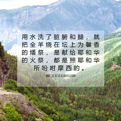 Picture 07 - 利 未 记 8:21 CUVS - 用 水 洗 了 脏 腑 和 腿 ， 就 把 全 - Bible Verse Picture