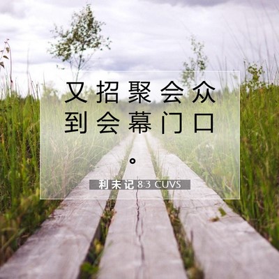 Picture 07 - 利 未 记 8:3 CUVS - 又 招 聚 会 众 到 会 幕 门 口 - Bible Verse Picture