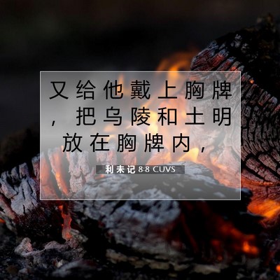 Picture 07 - 利 未 记 8:8 CUVS - 又 给 他 戴 上 胸 牌 ， 把 乌 陵 和 - Bible Verse Picture