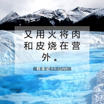 Picture 07 - 利 未 记 9:11 CUVS - 又 用 火 将 肉 和 皮 烧 在 营 外 - Bible Verse Picture