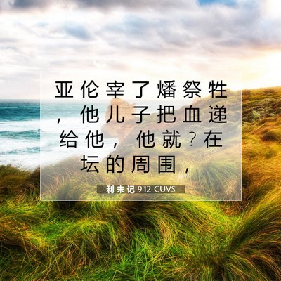 Picture 07 - 利 未 记 9:12 CUVS - 亚 伦 宰 了 燔 祭 牲 ， 他 儿 子 把 - Bible Verse Picture