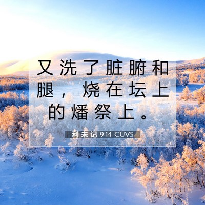 Picture 07 - 利 未 记 9:14 CUVS - 又 洗 了 脏 腑 和 腿 ， 烧 在 坛 上 - Bible Verse Picture