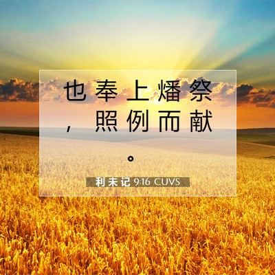 Picture 07 - 利 未 记 9:16 CUVS - 也 奉 上 燔 祭 ， 照 例 而 献 - Bible Verse Picture