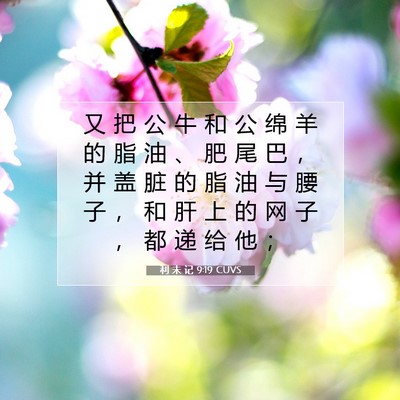 Picture 07 - 利 未 记 9:19 CUVS - 又 把 公 牛 和 公 绵 羊 的 脂 油 、 - Bible Verse Picture