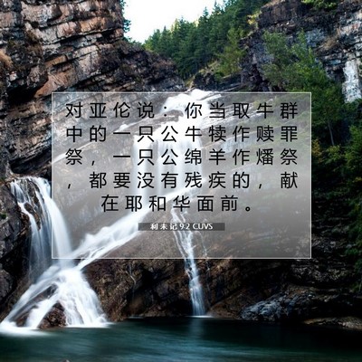 Picture 07 - 利 未 记 9:2 CUVS - 对 亚 伦 说 ： 你 当 取 牛 群 中 的 - Bible Verse Picture