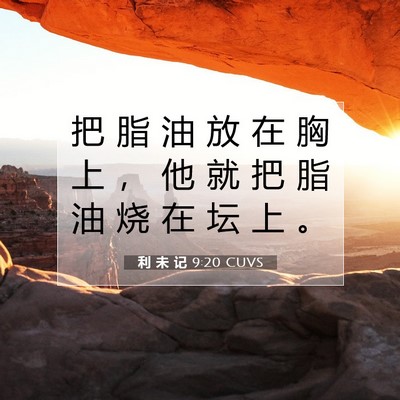 Picture 07 - 利 未 记 9:20 CUVS - 把 脂 油 放 在 胸 上 ， 他 就 把 脂 - Bible Verse Picture