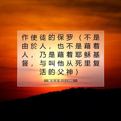 Picture 07 - 加 拉 太 书 1:1 CUVS - 作 使 徒 的 保 罗 （ 不 是 由 於 人 - Bible Verse Picture