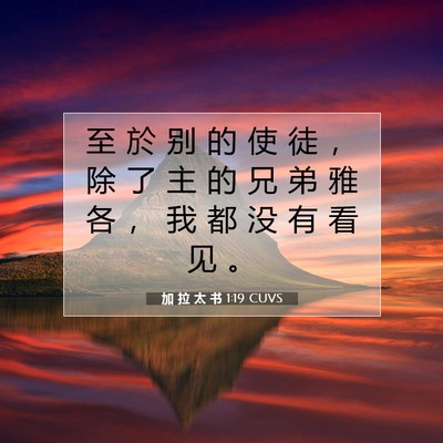 Picture 07 - 加 拉 太 书 1:19 CUVS - 至 於 别 的 使 徒 ， 除 了 主 的 兄 - Bible Verse Picture