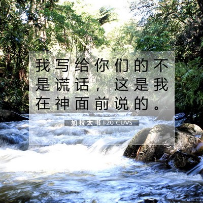 Picture 07 - 加 拉 太 书 1:20 CUVS - 我 写 给 你 们 的 不 是 谎 话 ， 这 - Bible Verse Picture