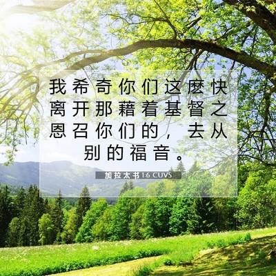 Picture 07 - 加 拉 太 书 1:6 CUVS - 我 希 奇 你 们 这 麽 快 离 开 那 藉 - Bible Verse Picture