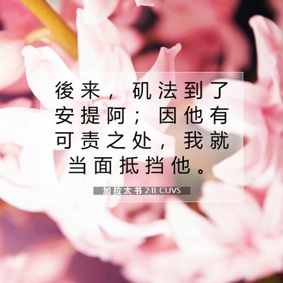 Picture 07 - 加 拉 太 书 2:11 CUVS - 後 来 ， 矶 法 到 了 安 提 阿 ； 因 - Bible Verse Picture