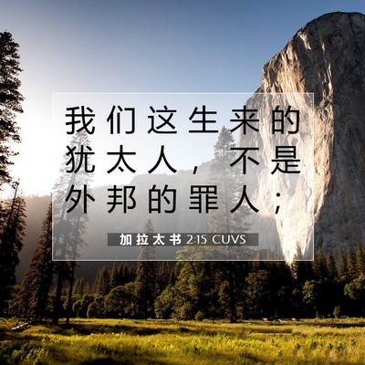 Picture 07 - 加 拉 太 书 2:15 CUVS - 我 们 这 生 来 的 犹 太 人 ， 不 是 - Bible Verse Picture