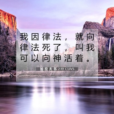 Picture 07 - 加 拉 太 书 2:19 CUVS - 我 因 律 法 ， 就 向 律 法 死 了 ， - Bible Verse Picture