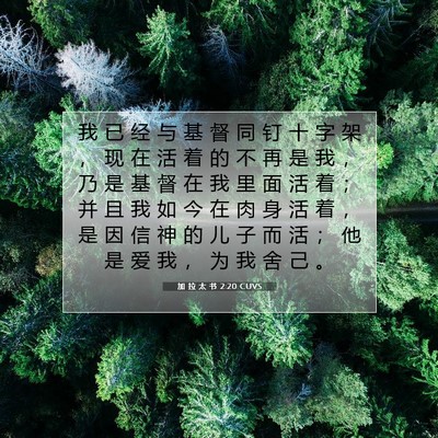 Picture 07 - 加 拉 太 书 2:20 CUVS - 我 已 经 与 基 督 同 钉 十 字 架 ， - Bible Verse Picture
