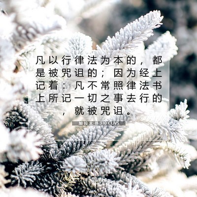Picture 07 - 加 拉 太 书 3:10 CUVS - 凡 以 行 律 法 为 本 的 ， 都 是 被 - Bible Verse Picture