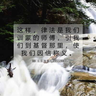 Picture 07 - 加 拉 太 书 3:24 CUVS - 这 样 ， 律 法 是 我 们 训 蒙 的 师 - Bible Verse Picture