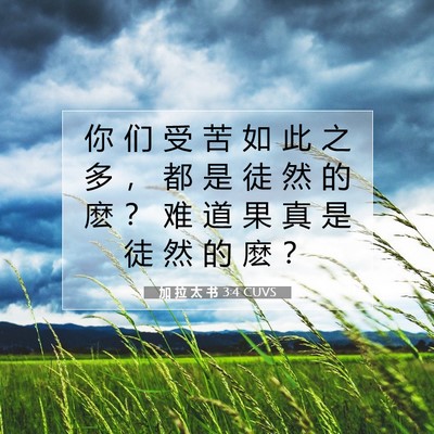Picture 07 - 加 拉 太 书 3:4 CUVS - 你 们 受 苦 如 此 之 多 ， 都 是 徒 - Bible Verse Picture