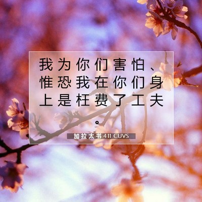Picture 07 - 加 拉 太 书 4:11 CUVS - 我 为 你 们 害 怕 、 惟 恐 我 在 你 - Bible Verse Picture