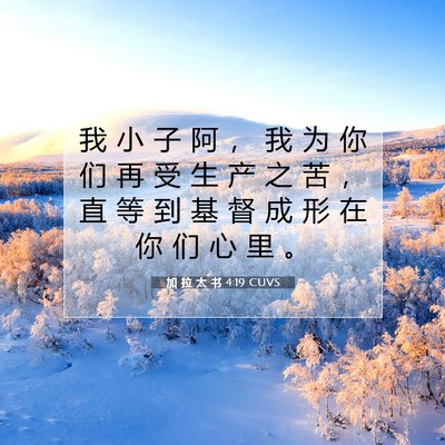 Picture 07 - 加 拉 太 书 4:19 CUVS - 我 小 子 阿 ， 我 为 你 们 再 受 生 - Bible Verse Picture