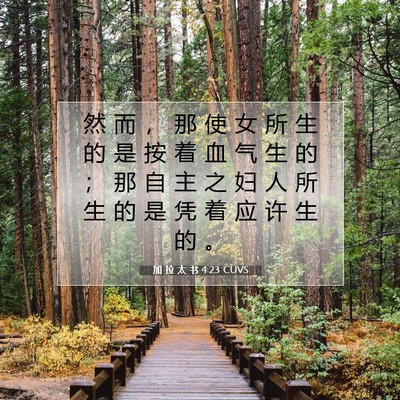 Picture 07 - 加 拉 太 书 4:23 CUVS - 然 而 ， 那 使 女 所 生 的 是 按 着 - Bible Verse Picture