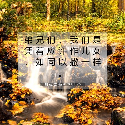 Picture 07 - 加 拉 太 书 4:28 CUVS - 弟 兄 们 ， 我 们 是 凭 着 应 许 作 - Bible Verse Picture