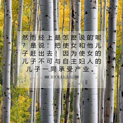 Picture 07 - 加 拉 太 书 4:30 CUVS - 然 而 经 上 是 怎 麽 说 的 呢 ？ 是 - Bible Verse Picture