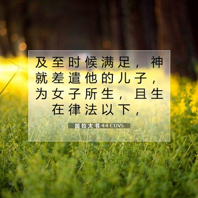 Picture 07 - 加 拉 太 书 4:4 CUVS - 及 至 时 候 满 足 ， 神 就 差 遣 他 - Bible Verse Picture