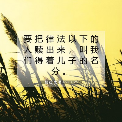 Picture 07 - 加 拉 太 书 4:5 CUVS - 要 把 律 法 以 下 的 人 赎 出 来 ， - Bible Verse Picture