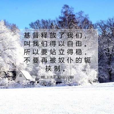 Picture 07 - 加 拉 太 书 5:1 CUVS - 基 督 释 放 了 我 们 ， 叫 我 们 得 - Bible Verse Picture