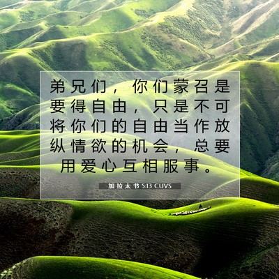 Picture 07 - 加 拉 太 书 5:13 CUVS - 弟 兄 们 ， 你 们 蒙 召 是 要 得 自 - Bible Verse Picture
