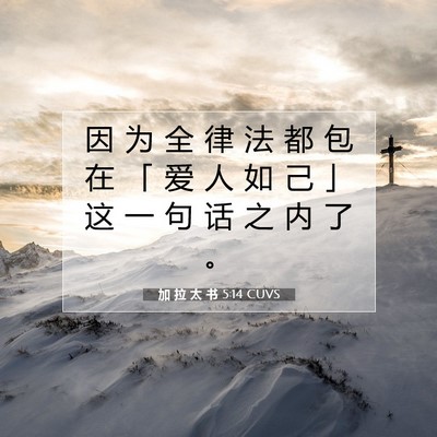 Picture 07 - 加 拉 太 书 5:14 CUVS - 因 为 全 律 法 都 包 在 「 爱 人 如 - Bible Verse Picture