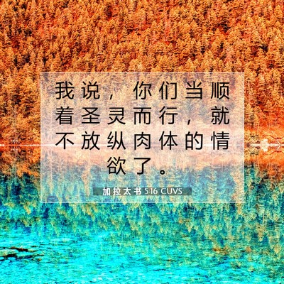 Picture 07 - 加 拉 太 书 5:16 CUVS - 我 说 ， 你 们 当 顺 着 圣 灵 而 行 - Bible Verse Picture