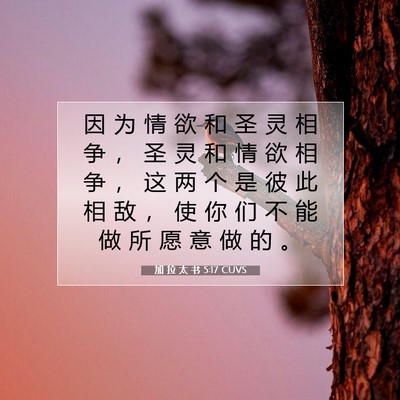 Picture 07 - 加 拉 太 书 5:17 CUVS - 因 为 情 欲 和 圣 灵 相 争 ， 圣 灵 - Bible Verse Picture
