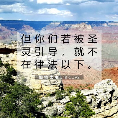 Picture 07 - 加 拉 太 书 5:18 CUVS - 但 你 们 若 被 圣 灵 引 导 ， 就 不 - Bible Verse Picture