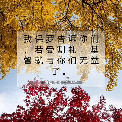 Picture 07 - 加 拉 太 书 5:2 CUVS - 我 保 罗 告 诉 你 们 ， 若 受 割 礼 - Bible Verse Picture