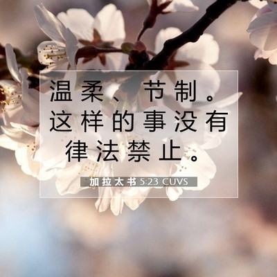 Picture 07 - 加 拉 太 书 5:23 CUVS - 温 柔 、 节 制 。 这 样 的 事 没 有 - Bible Verse Picture