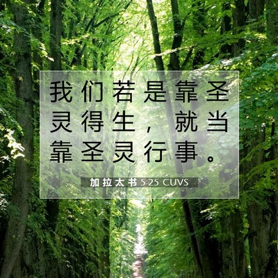 Picture 07 - 加 拉 太 书 5:25 CUVS - 我 们 若 是 靠 圣 灵 得 生 ， 就 当 - Bible Verse Picture
