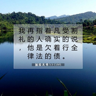 Picture 07 - 加 拉 太 书 5:3 CUVS - 我 再 指 着 凡 受 割 礼 的 人 确 实 - Bible Verse Picture