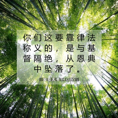 Picture 07 - 加 拉 太 书 5:4 CUVS - 你 们 这 要 靠 律 法 称 义 的 ， 是 - Bible Verse Picture