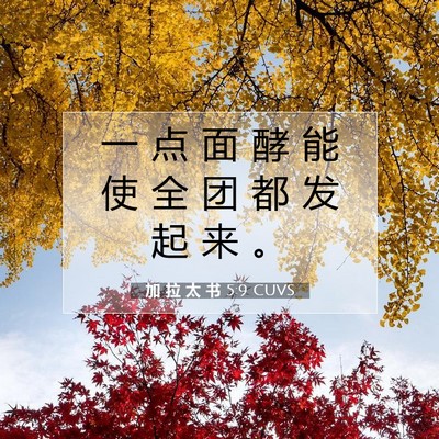 Picture 07 - 加 拉 太 书 5:9 CUVS - 一 点 面 酵 能 使 全 团 都 发 起 来 - Bible Verse Picture