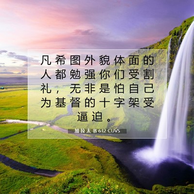 Picture 07 - 加 拉 太 书 6:12 CUVS - 凡 希 图 外 貌 体 面 的 人 都 勉 强 - Bible Verse Picture