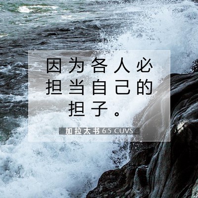 Picture 07 - 加 拉 太 书 6:5 CUVS - 因 为 各 人 必 担 当 自 己 的 担 子 - Bible Verse Picture