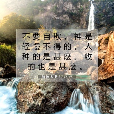 Picture 07 - 加 拉 太 书 6:7 CUVS - 不 要 自 欺 ， 神 是 轻 慢 不 得 的 - Bible Verse Picture