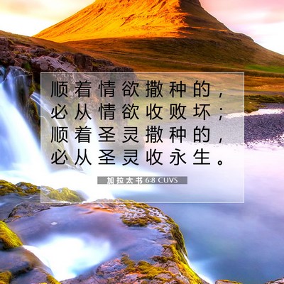 Picture 07 - 加 拉 太 书 6:8 CUVS - 顺 着 情 欲 撒 种 的 ， 必 从 情 欲 - Bible Verse Picture