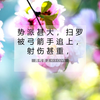Picture 07 - 历 代 志 上 10:3 CUVS - 势 派 甚 大 ， 扫 罗 被 弓 箭 手 追 - Bible Verse Picture
