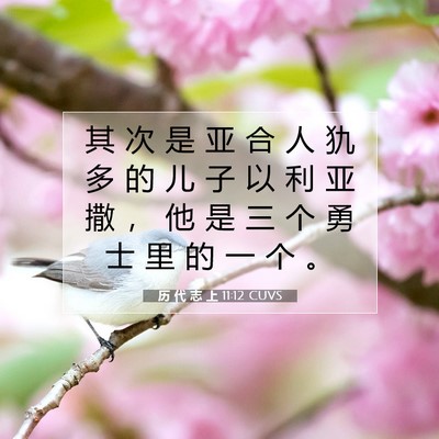 Picture 07 - 历 代 志 上 11:12 CUVS - 其 次 是 亚 合 人 犰 多 的 儿 子 以 - Bible Verse Picture
