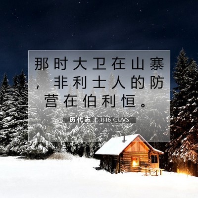 Picture 07 - 历 代 志 上 11:16 CUVS - 那 时 大 卫 在 山 寨 ， 非 利 士 人 - Bible Verse Picture