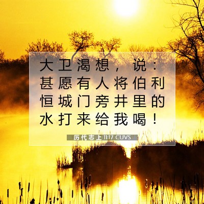 Picture 07 - 历 代 志 上 11:17 CUVS - 大 卫 渴 想 ， 说 ： 甚 愿 有 人 将 - Bible Verse Picture